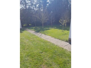 Wiese mit Obstbäumen