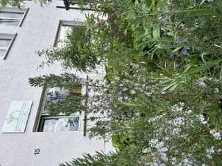 Herzlich Willkommen!