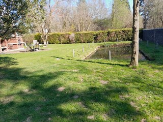 Liegewiese mit Teich