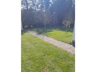 Wiese mit Obstbäumen