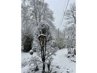 IMG_3195
