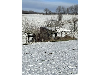 IMG_3228