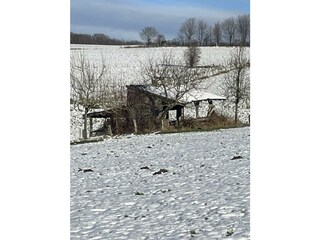 IMG_3228