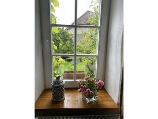 Blick aus der Essecke