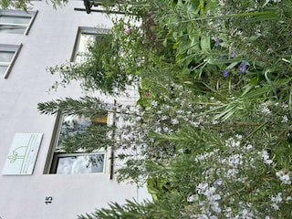 Herzlich Willkommen!