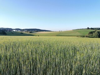 Blick auf unser Wohngebiet