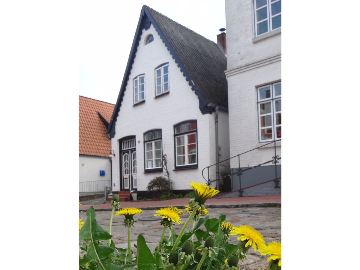 Ferienwohnung Strandläufer im Erdgeschoss des Hauses