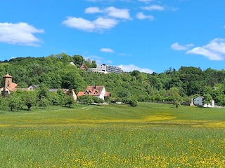 Herrnwiese mit Blick nach Regensberg