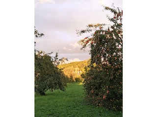 Ferienwohnung Kunreuth Umgebung 35