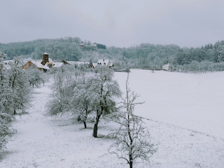 Herrnwiese mit Blick nach Regensberg