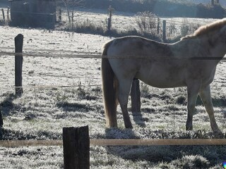 Ferienhaus Bougnon Umgebung 25