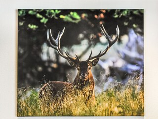 Appartement Rauris  40