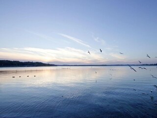 Parco vacanze Waren (Müritz) Ambiente 15