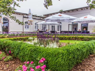 Ferienwohnung Norderney Umgebung 28