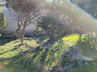 Ferienwohnung Norderney Außenaufnahme 9