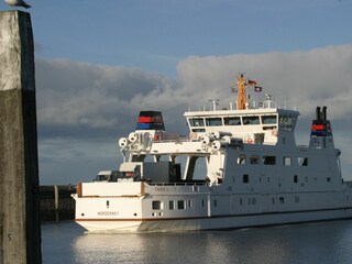 Ferienwohnung Norderney Außenaufnahme 11