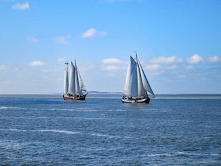 Vakantiepark Medemblik Omgeving 9