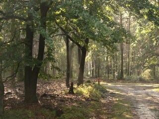 Casa de vacaciones Voorthuizen Entorno 35