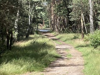 Casa de vacaciones Voorthuizen Entorno 27