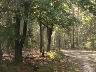 Casa per le vacanze Voorthuizen Ambiente 36