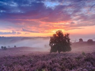 Vakantiehuis Putten Omgeving 24