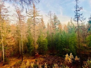 Casa per le vacanze Putten Ambiente 19