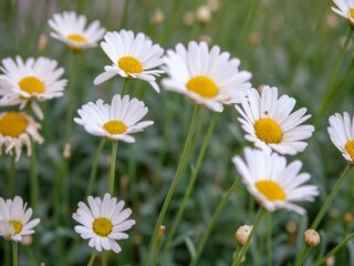 Vakantiehuis Putten  38