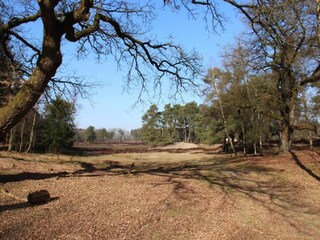 Vakantiehuis Voorthuizen Omgeving 23