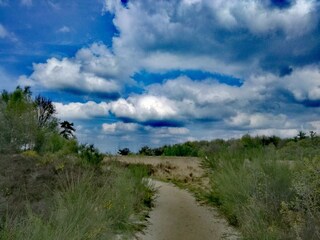 Casa per le vacanze Voorthuizen Ambiente 24