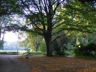 Ferienhaus Voorthuizen Umgebung 27