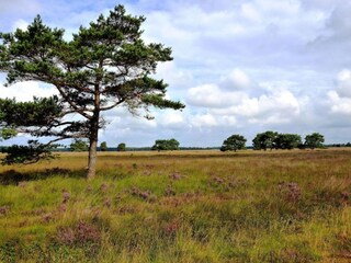 Vakantiehuis Voorthuizen Omgeving 29