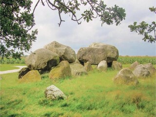 Casa de vacaciones Voorthuizen Entorno 29