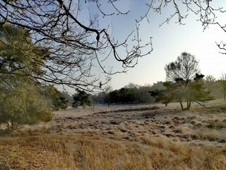 Ferienhaus Voorthuizen Umgebung 31