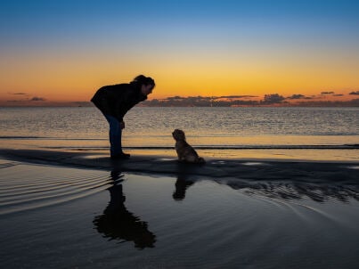 Frau Evelyn Schneider