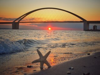 Nah an Fehmarn für tolle Ausflüge