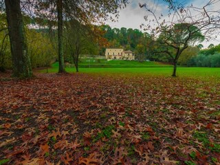 Villa Lucca  65