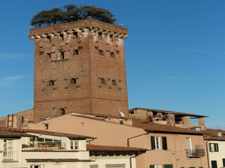 Appartement Lucca  28