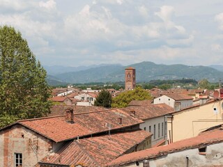 Appartement Lucca  8