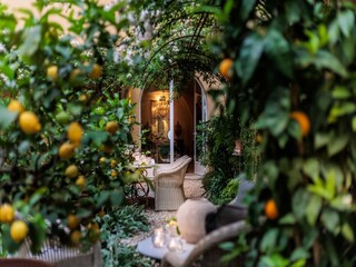 Appartement Lucca  1