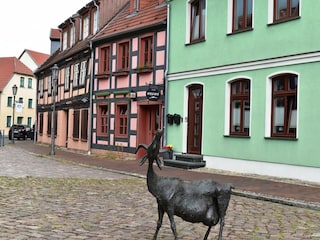 Apartment Röbel Müritz Environment 34
