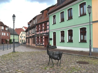 Apartment Röbel Müritz Umgebung 34