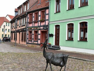 Apartamento Röbel Müritz Entorno 39