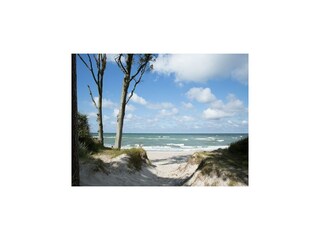 Casa de vacaciones Fuhlendorf Entorno 38