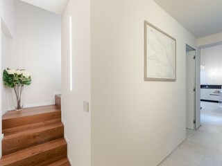 Appartement Lucca  3