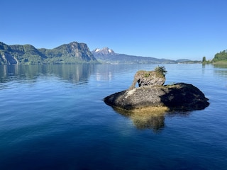 Elefantenstein zwischen Vitznau und Weggis