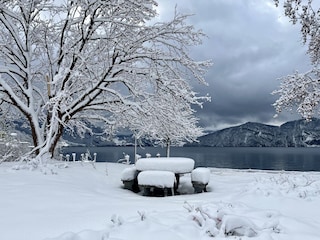 Ferienwohnung Vitznau Umgebung 28