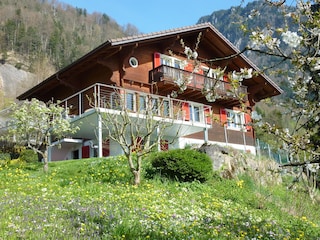 Chalet Bärgblick - Ihre Wohnung ist im OG