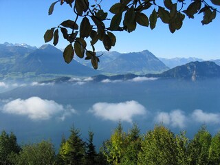 Aussicht von der Rigi