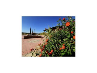 Casa de vacaciones Suvereto Grabación al aire libre 10