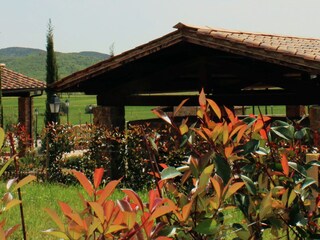 Holiday house Suvereto Outdoor Recording 2